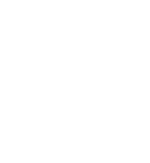 Fiedel logo white